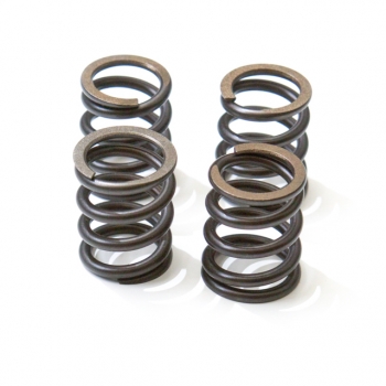 GM valve springset