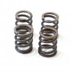 GM valve springset