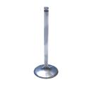 GM NX titanium intake valve 6mm