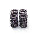 GM NX valve spring set